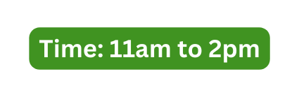 Time 11am to 2pm